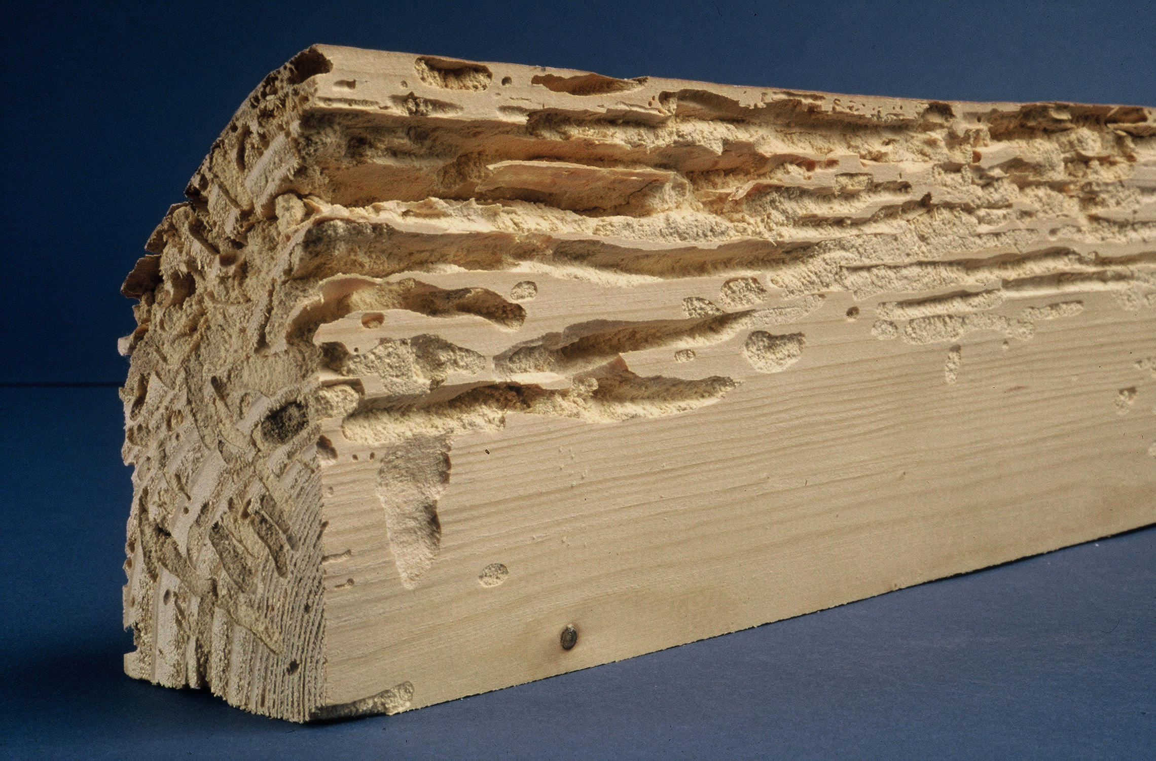 Traitement de charpente, bois à Évreux